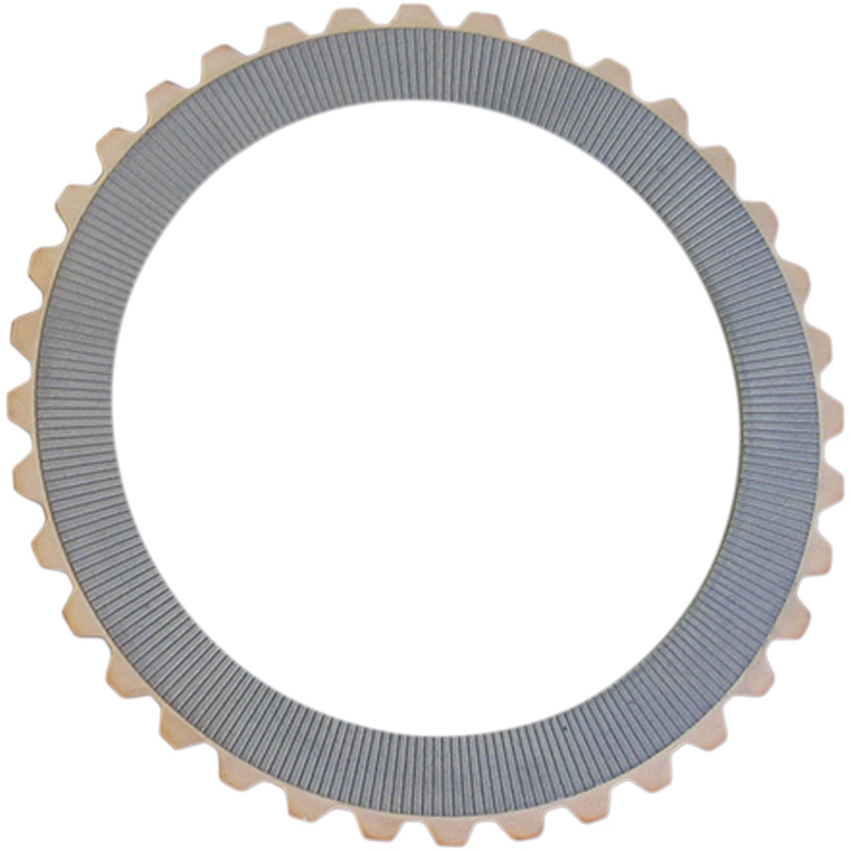 Rivera Pro Replacement Clutch Plate