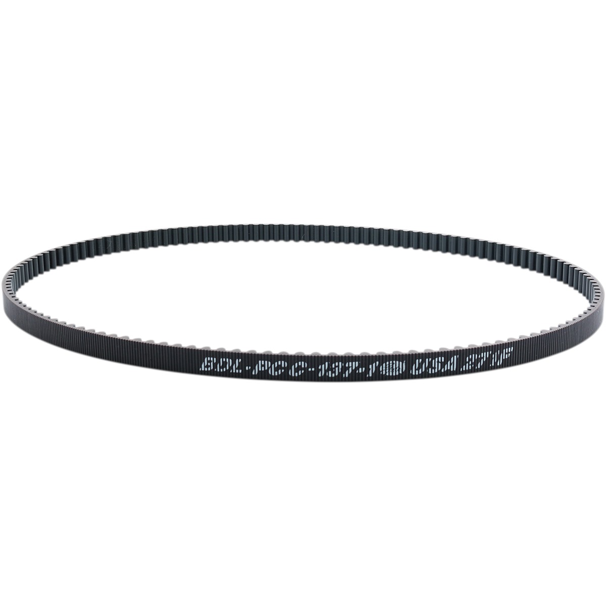 Rear Drive Belt