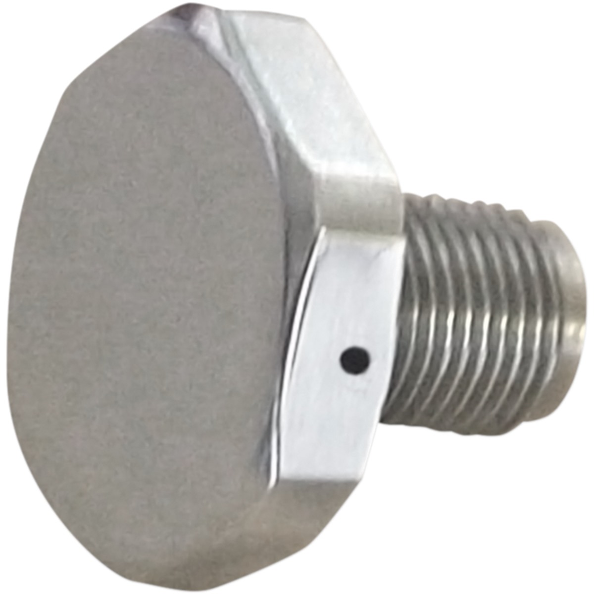 Upper Fork Tube Caps/Bolts - Standard