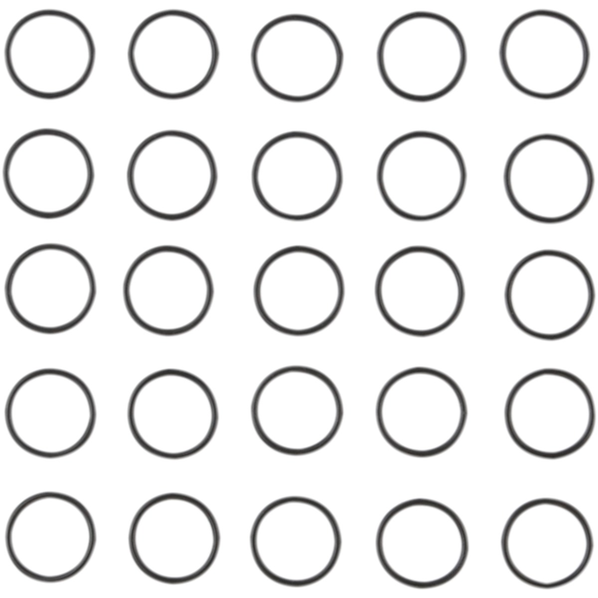 Shifter O-Ring