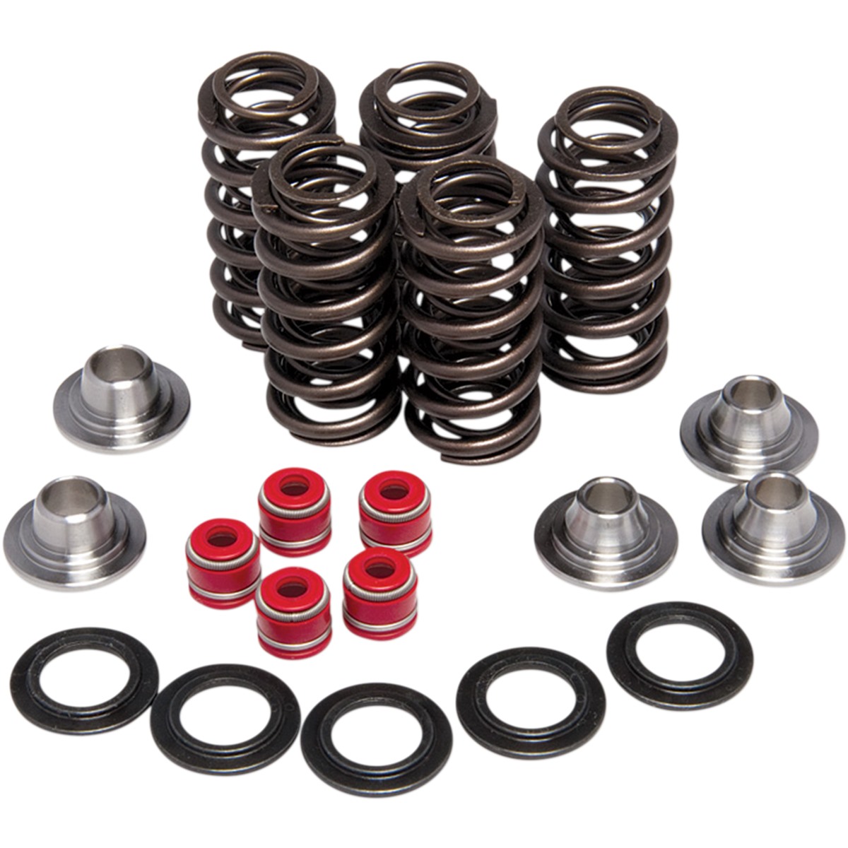 Valve Spring Kit