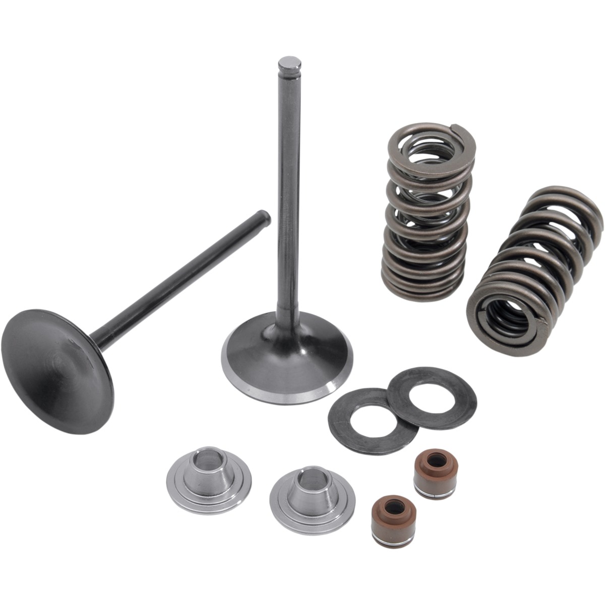 Stainless Steel Conversion Valve and Spring Kit