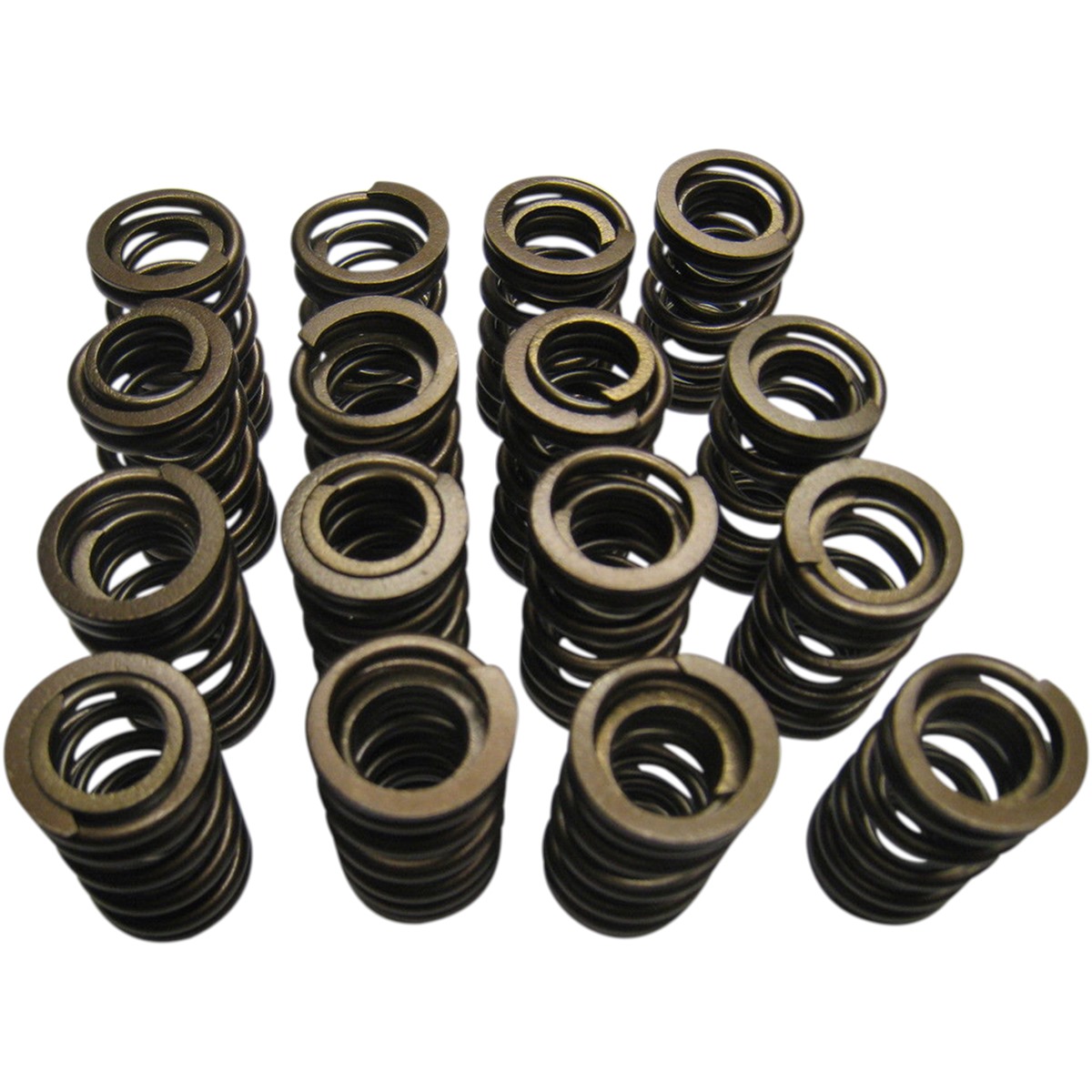 Valve Spring Kit