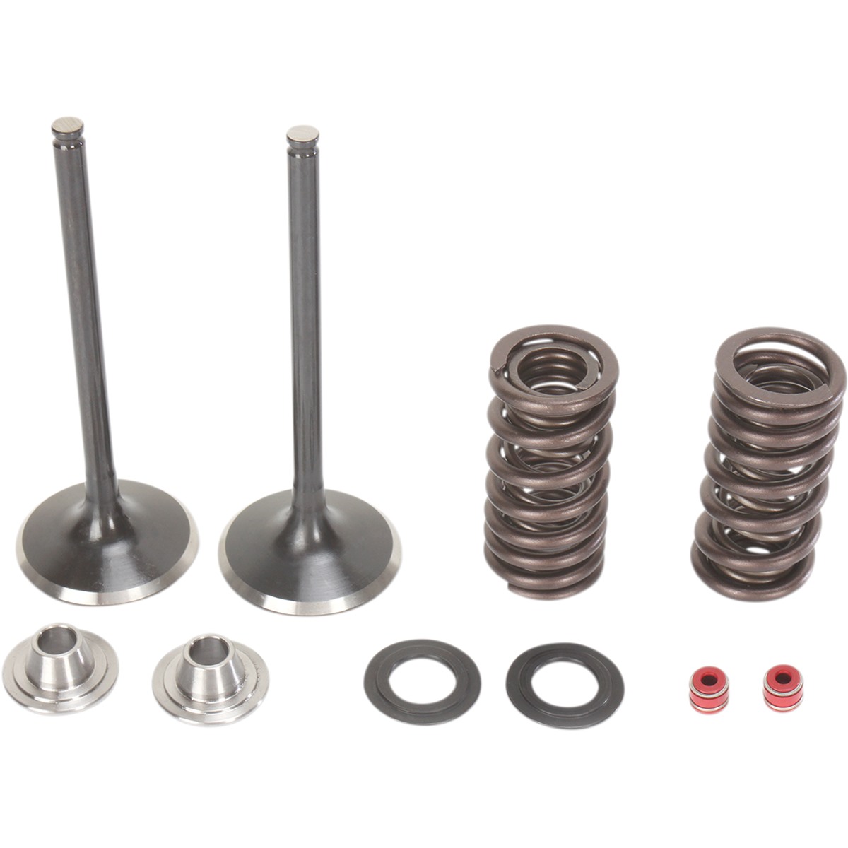 Stainless Intake Valve and Spring Kit