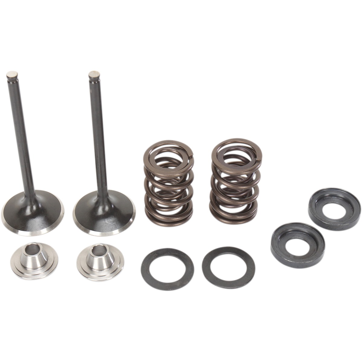 Moose Racing Stainless Exhaust Valve and Spring Kit