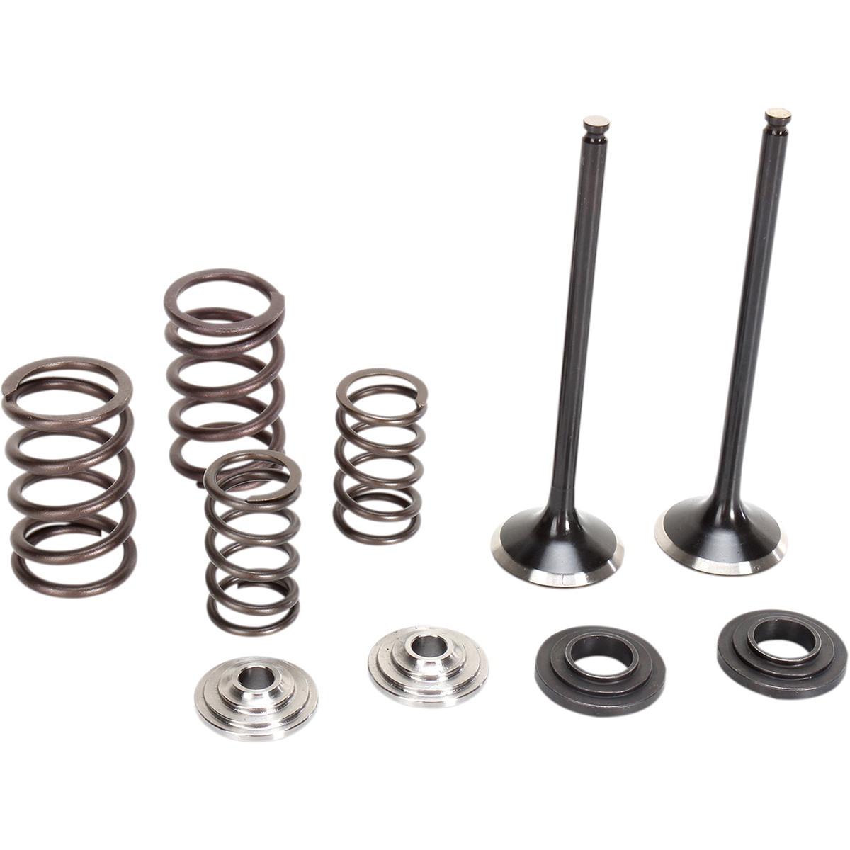 Moose Racing Stainless Exhaust Valve and Spring Kit