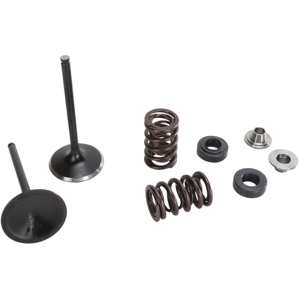 Moose Racing Stainless Exhaust Valve and Spring Kit