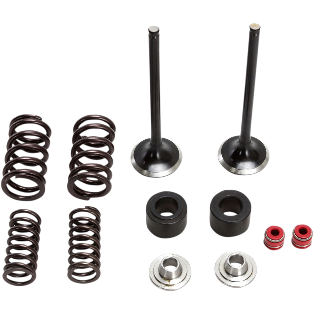 Moose Racing Stainless Exhaust Valve and Spring Kit