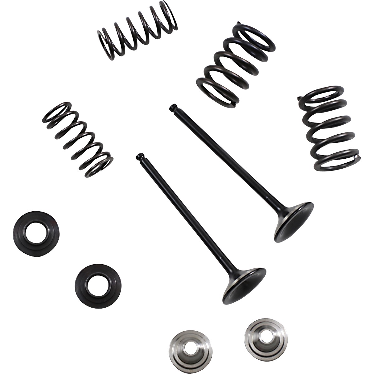 Moose Racing Stainless Exhaust Valve and Spring Kit