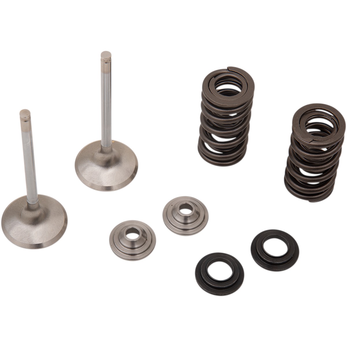 Moose Racing Stainless Exhaust Valve and Spring Kit