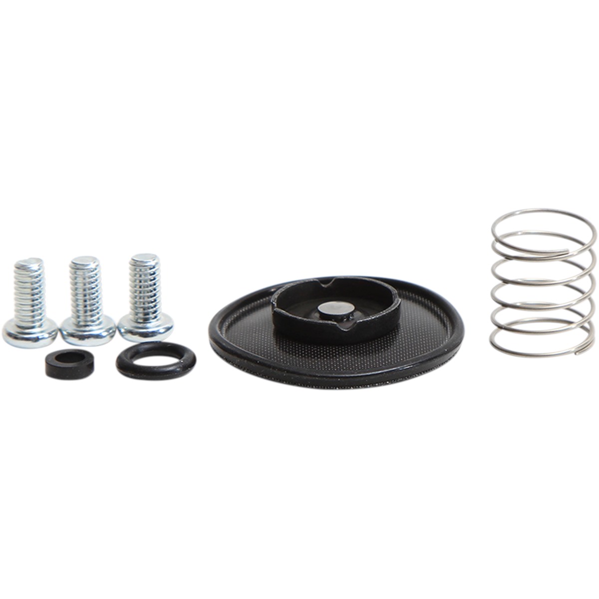 Accelerator Pump Rebuild Kit