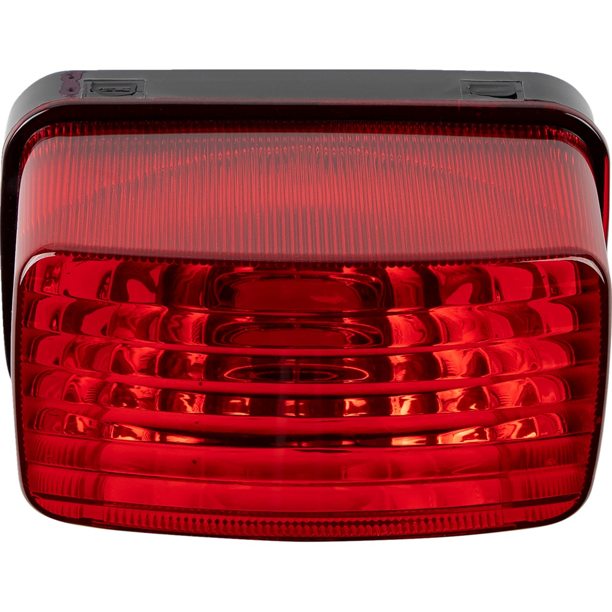 Halogen Taillight
