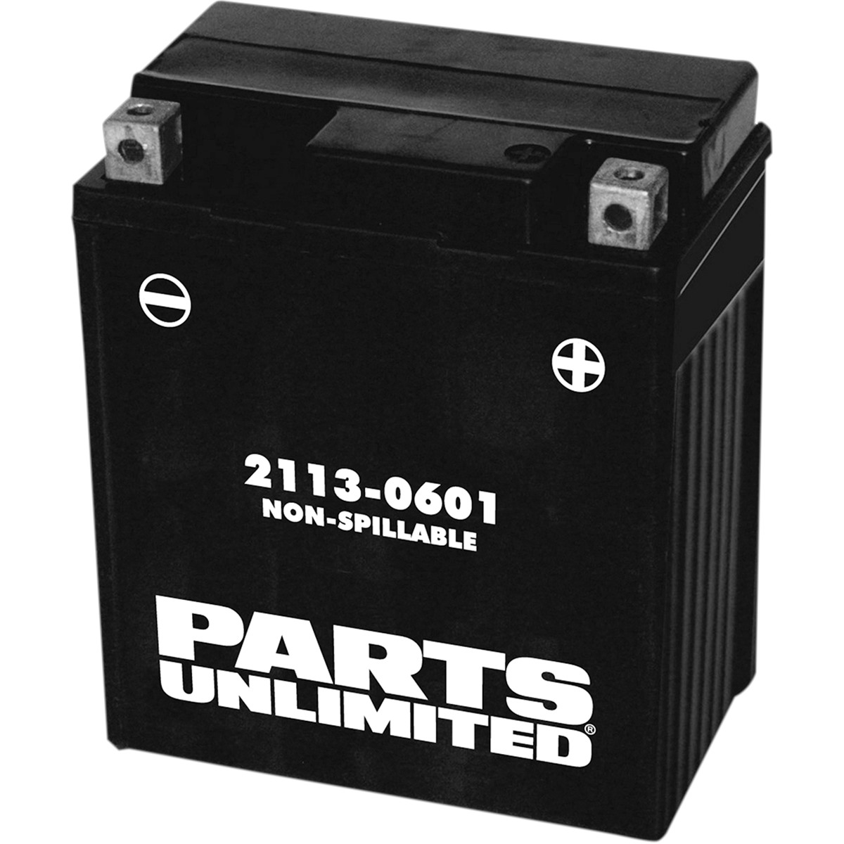 Parts Unlimited Factory-Activated AGM Maintenance-Free Battery