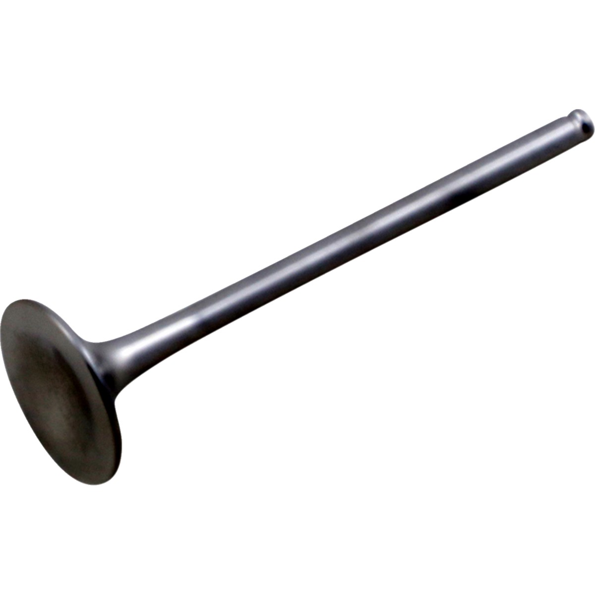 Exhaust Valve